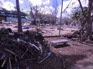 Credit: T. Brimacombe Image: Remnants of the Mama's Market, Port Vila (Credit: T. Brimacombe)